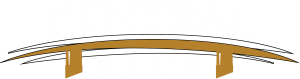 Central Bank Alternative Logo