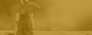 A yellow filtered image of a mason jar of money and a leaf sticking out of it.